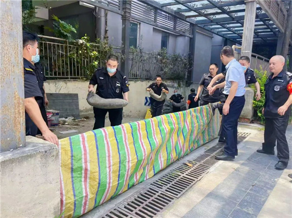 以演筑防 以练备战 全力迎战主汛期 - 新闻动态 - 申博官网