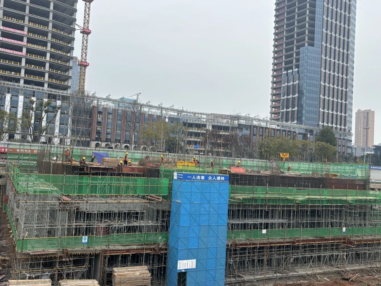 新闻动态 - 申博官网